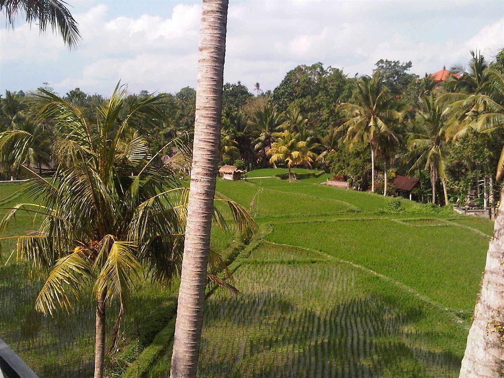 Motama Villa Убуд Экстерьер фото